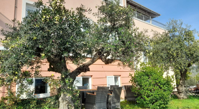 Hotel Kozana, Prenota Hotel Hotel a Gorizia con colazione, Colazione