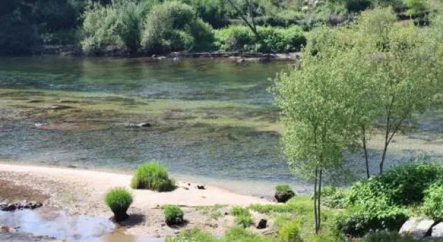 River House Mill Gerês, Забронировать Апартаменты/квартира Повуа-ди-Ланьозу Пенеда-Жереш