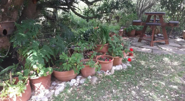 Апартаменты Gogo's garden apartment