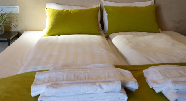 Семейный номер Standard Landhotel