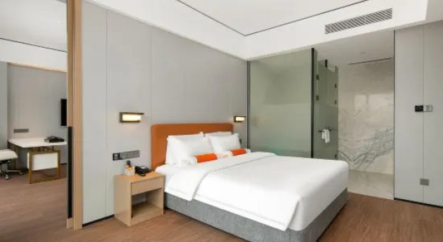 Люкс Business Lishui Haohaoting Hotel