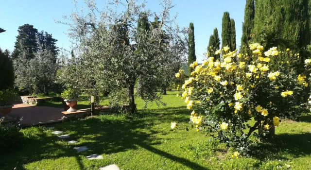 Номер Standard Agriturismo La Scarpaia