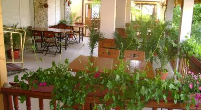 Yoana Tsvetelina Guest House