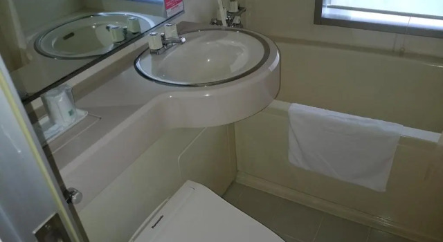 Одноместный номер Economy Hotel New Green Kashiwazaki