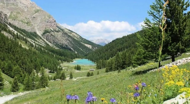 Résidence Rond-Point-pistes I - Studio pour 4 Personnes 134