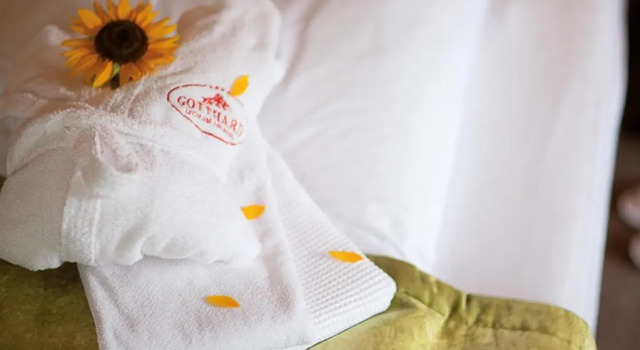 Номер Comfort Hotel Gotthard
