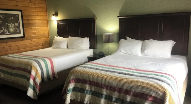 Четырёхместный номер Standard Oakwood Resort