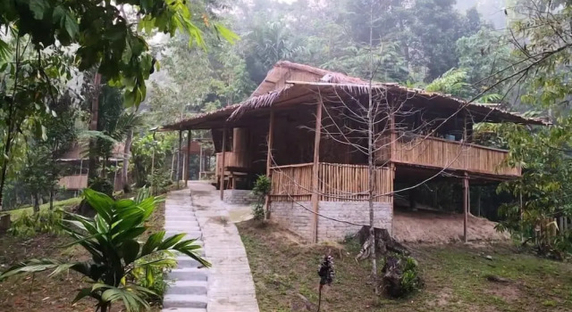 Kulübe Rain Forest Inn