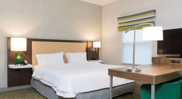 Люкс Hampton Inn & Suites East Lansing
