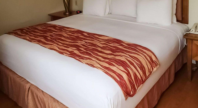 Двухместный номер Rodeway Inn South Miami - Coral Gables