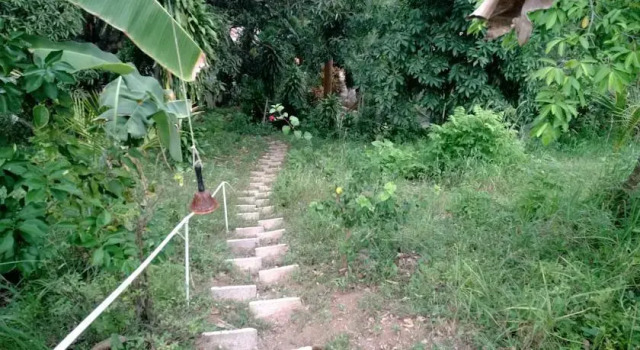 Private Chalet, National Park, Забронировать Шале Коттеджи Пуэрто-Платы, Коттедж