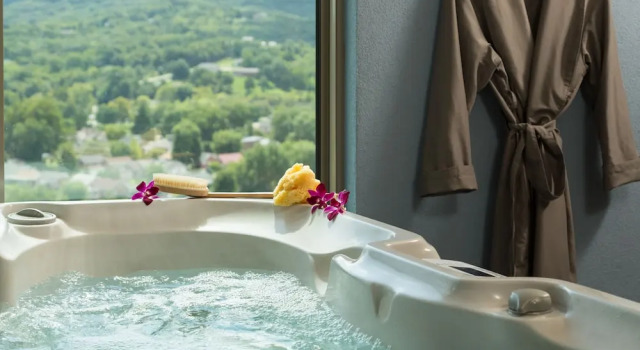 Premium suite Hermann Hill