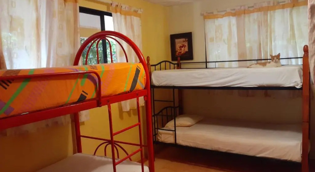 Кровать в общем номере La Hacienda Hostel-Rancho
