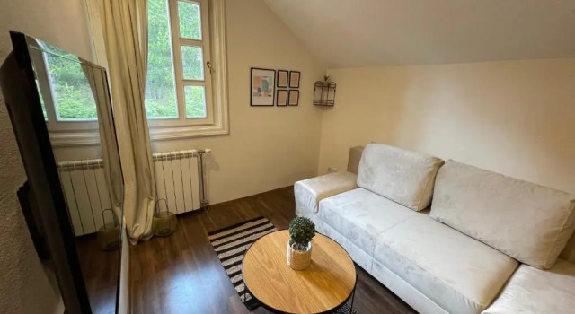 Апартаменты c 1 комнатой Apartments Micic