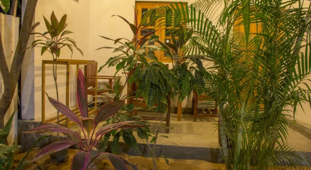 Семейный номер Standard с балконом и с видом на сад Eagle Resort Arugambay