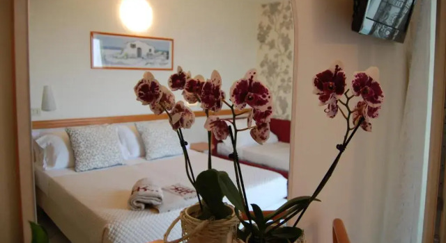 Трёхместный номер Standard с видом на море Hotel Rivazzurra