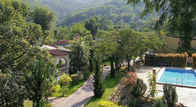 Номер Deluxe Stamp Hills Resort