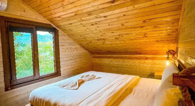 Номер Classic Boğaz Sapanca Resort