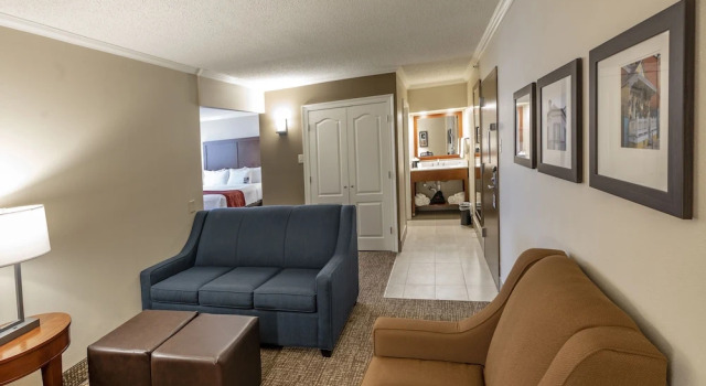Полулюкс Comfort Inn & Suites At Copeland Tower