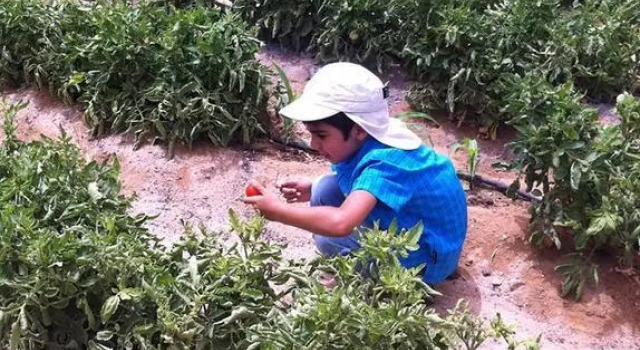 Habiba Organic Farm
