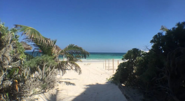 Bahlam Tulum