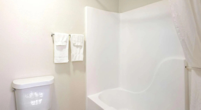 Standard- firedobbelt værelse Quality Inn & Suites Metropolis I-24