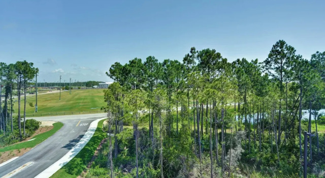Люкс c 1 комнатой TownePlace Suites by Marriott Panama City Beach Pier Park