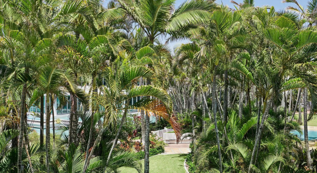 Четырёхместный номер Standard с красивым видом из окна Sheraton Grand Mirage Resort Gold Coast
