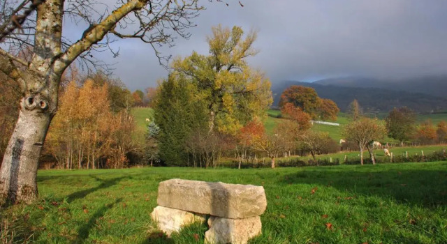 Terres de la Grange, Prenota Hotel Treffort-Cuisiat Ain
