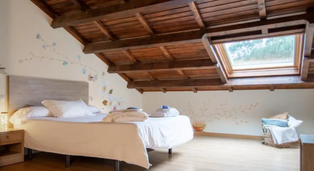 Номер Deluxe Hotel Balneario Río Pambre