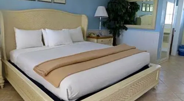 Номер Standard Lemon Tree Inn