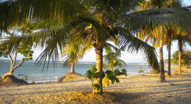 Caribbean Sun Residential