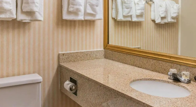 Номер Standard Quality Inn & Suites Detroit Metro Airport