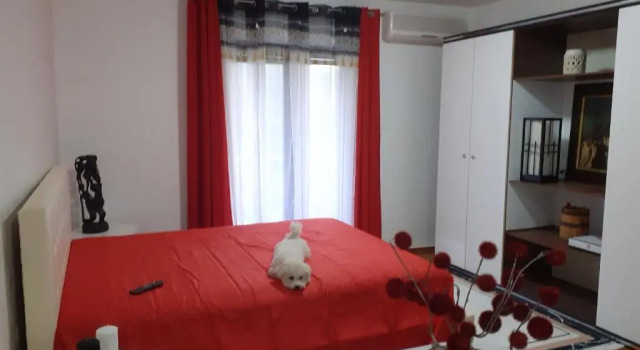 Апартаменты Guest House Cvoro