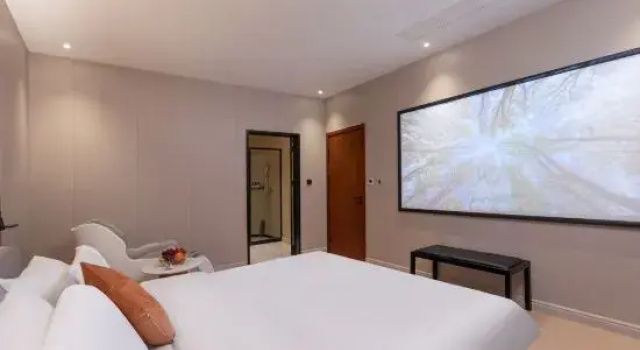 Люкс Deluxe WG ELEGANT HOTEL(Zhangjiagang Jiyang Lake Branch)