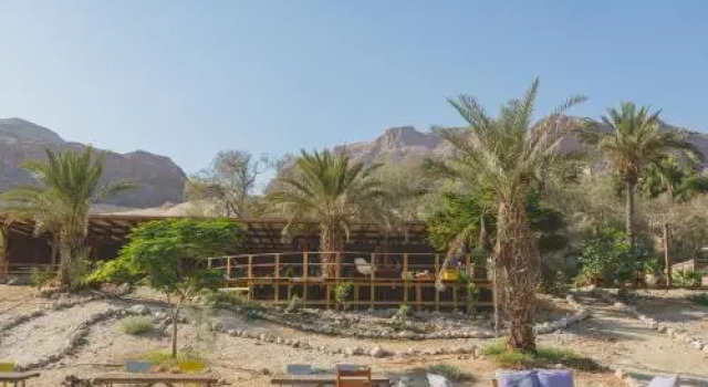 Ein Gedi Camp Lodge, Prenota Hotel Hotel economici a Israele Distretto Sud