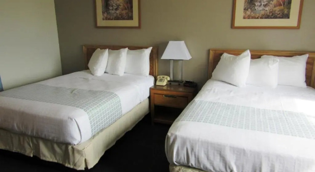 Четырёхместный номер Superior White Buffalo Hotel