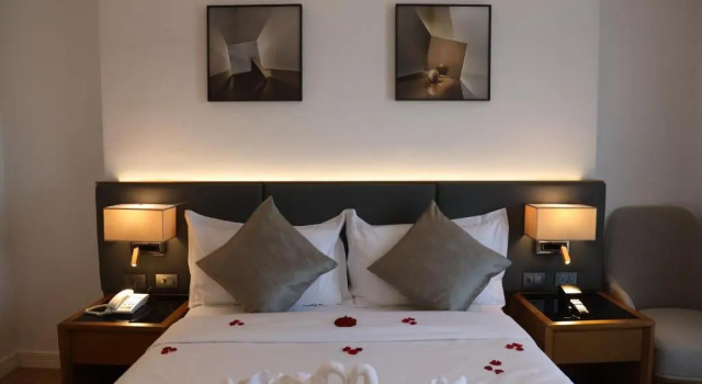 Двухместный номер Standard Hayes Hotel Addis Ababa