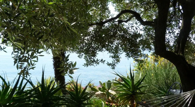 House Limone