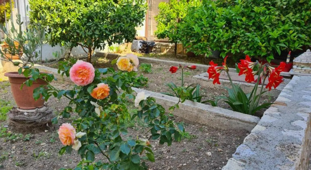 Студия Apartments Steffi