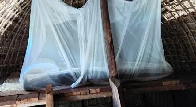 Номер Standard Mida Creek Eco Camp - lodge