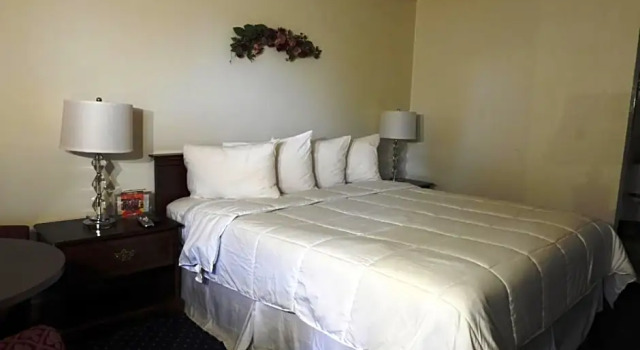 Шестиместный люкс Stanford Motor Inn