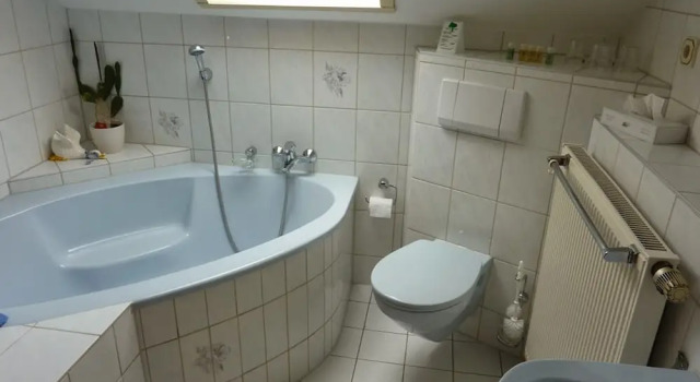 Двухместный номер Standard Kyffhäuserhotel "Goldene Aue"