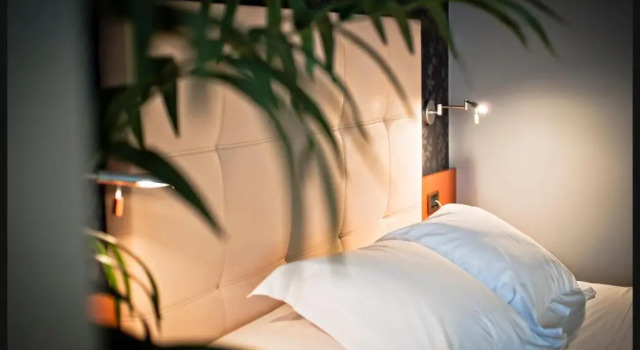 Номер Comfort Coto Real