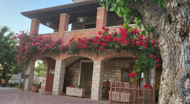 Апартаменты Apartment Stancija Rosello