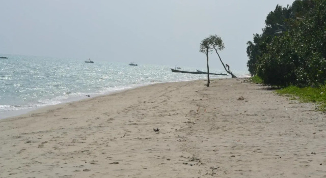 Crossbill Beach Resort, Rezervovat Lázně / Resort Resortní hotely v Andaman Islands, Lázně / Resort