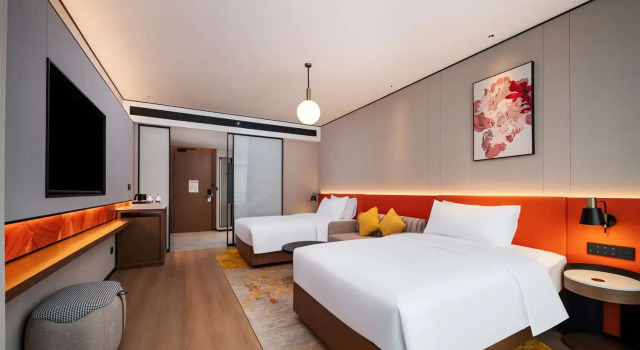 Двухместный номер Standard Hilton Garden Inn Hefei High-Tech Zone