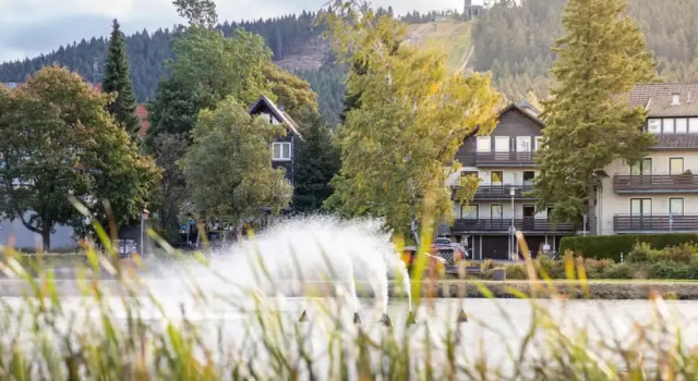 Hexenzauber Hahnenklee, Book Vacation Home Villas in Goslar, Villa