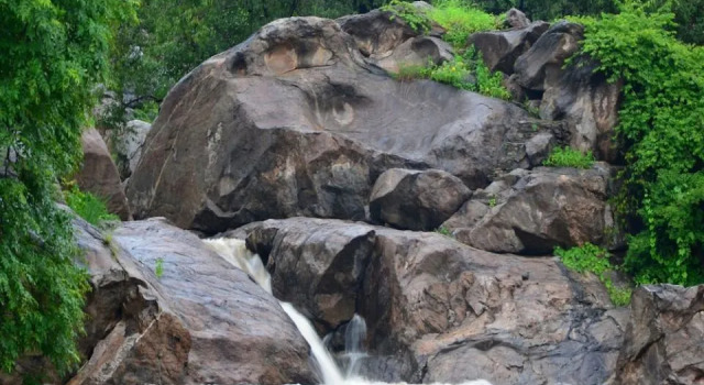 Shikar Oudi Jungle Villa, Забронировать Вилла Отели штата Раджастхана 3 звезды, 3*