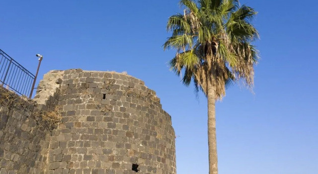 Dona Castle